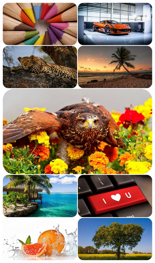 Beautiful Mixed Wallpapers Pack 563