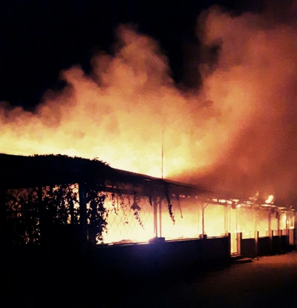 На крымском курорте сгорела летняя столовая [фото]