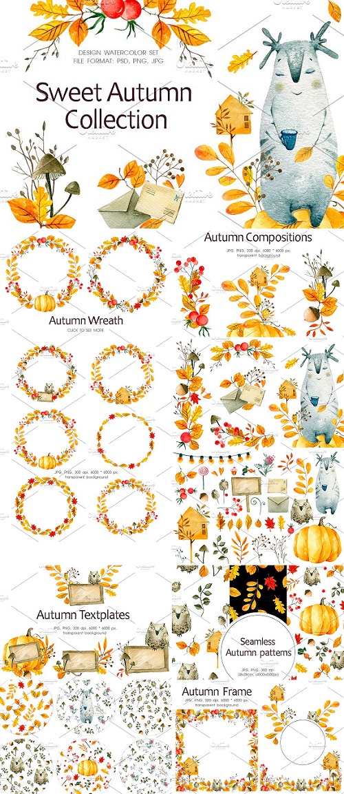 Sweet Autumn Collection - 1987202
