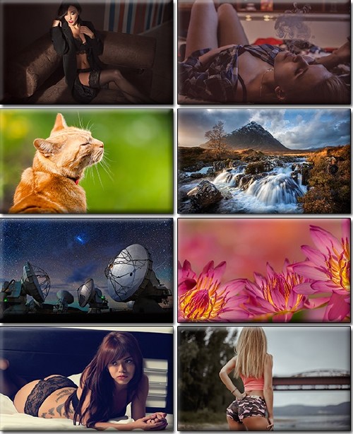 LIFEstyle News MiXture Images. Wallpapers Part (1320)