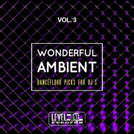 Wonderful Ambient, Vol. 3 (Dancefloor Picks For Djs) (2017)