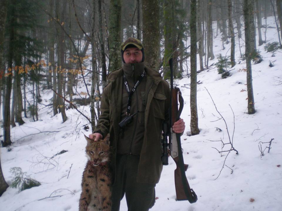 В Карпатах лесники застрелили краснокнижную рысь: фото
