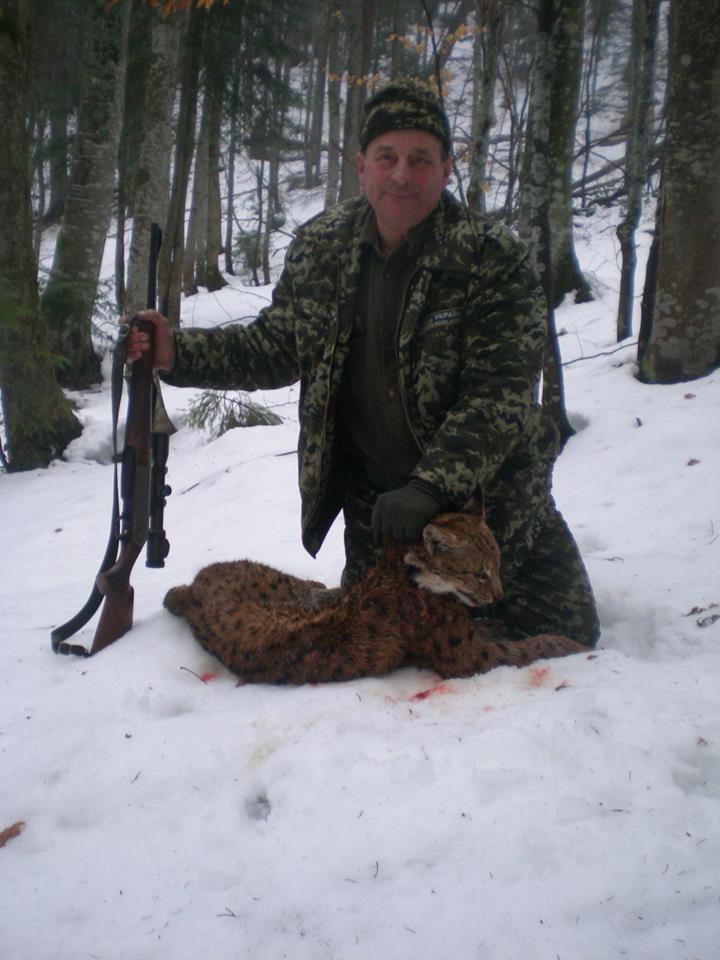 В Карпатах лесники застрелили краснокнижную рысь: фото