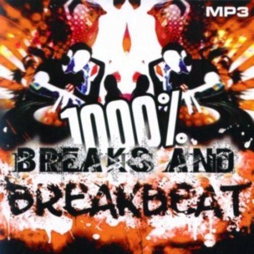 1000 % BreakBeat Vol. 160 (2017)