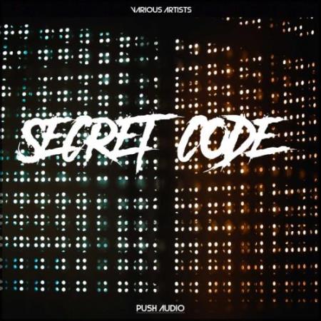 Secret Code (2017)