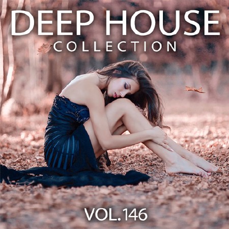 Deep House Collection Vol.146 (2017)