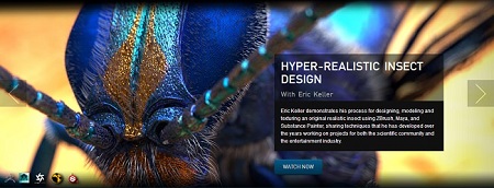 The Gnomon Workshop - Hyper-realistic Insect Design with Eric Keller