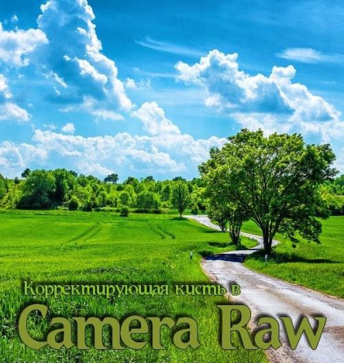 Корректирующая кисть в Camera Raw (2018) PCRec
