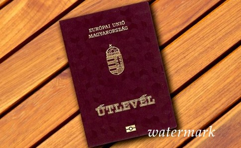 Венгрия перенесла из Берегово выдачу собственных паспортов - Москаль