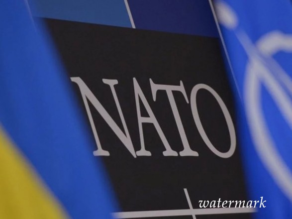 США рассчитывают единожды поздравить Украину с членством в НАТО - заявление
