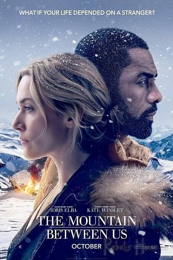 The Mountain Between Us (2017) BluRay 1080p DTS x264-CHD