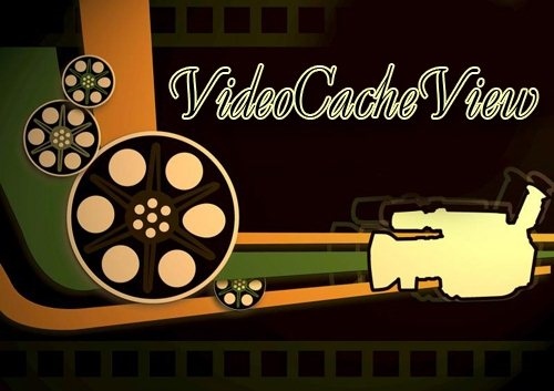 VideoCacheView 2.98 + Portable