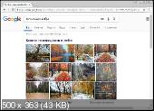 Google Chrome 70.0.3538.102 Portable by Cento8