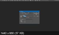 Adobe Copy CC 2019 14.0.13 Portable by Punsh